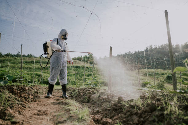 Best Mosquito Control Services  in Geneva, AL