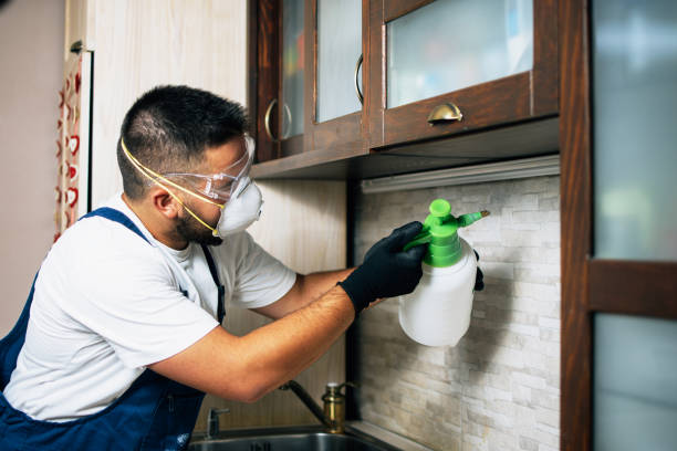 Best Pest Prevention Services  in Geneva, AL