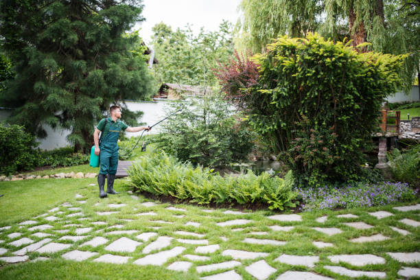Best Pest Control Treatment  in Geneva, AL