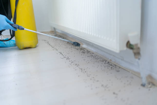 Best Affordable Pest Control Services  in Geneva, AL